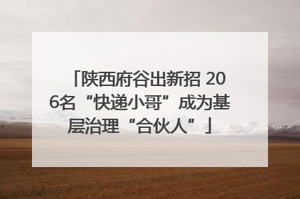 陕西府谷出新招 206名“快递小哥”成为基层治理“合伙人”
